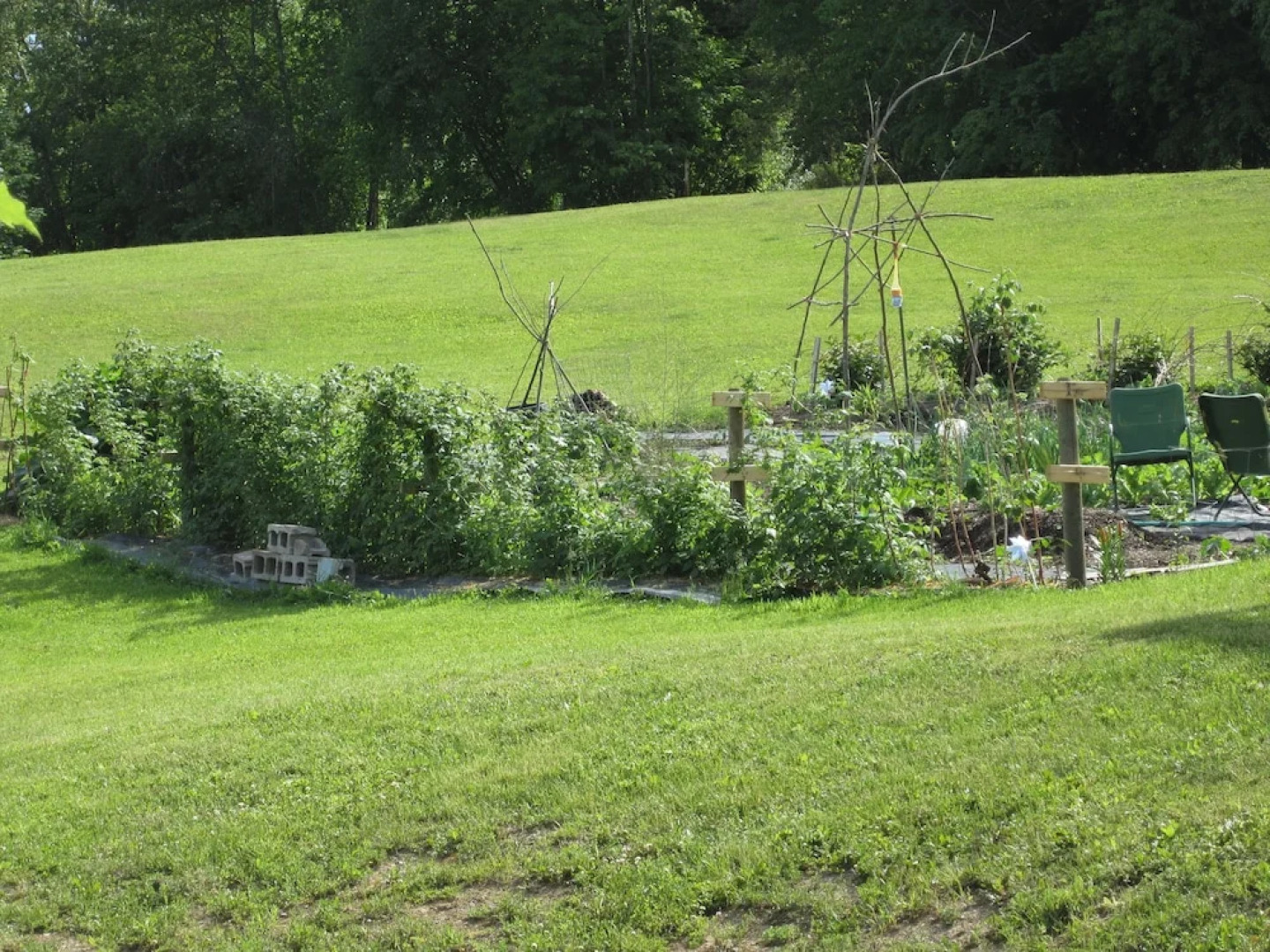 Blacktail Ridge Lodge & RV