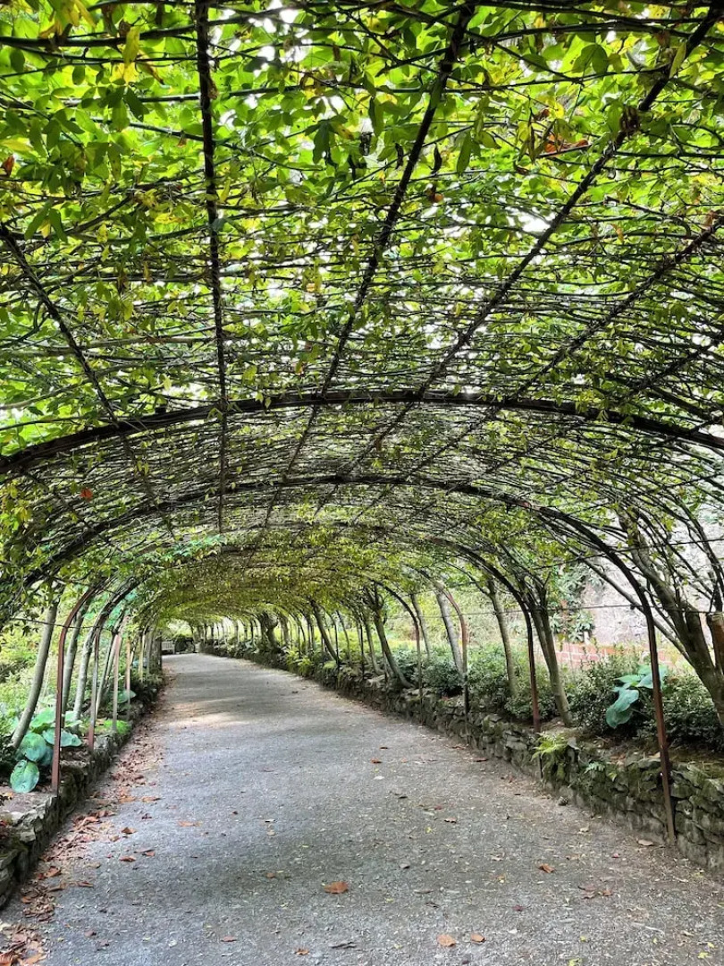 Tyn Y Fron Country House