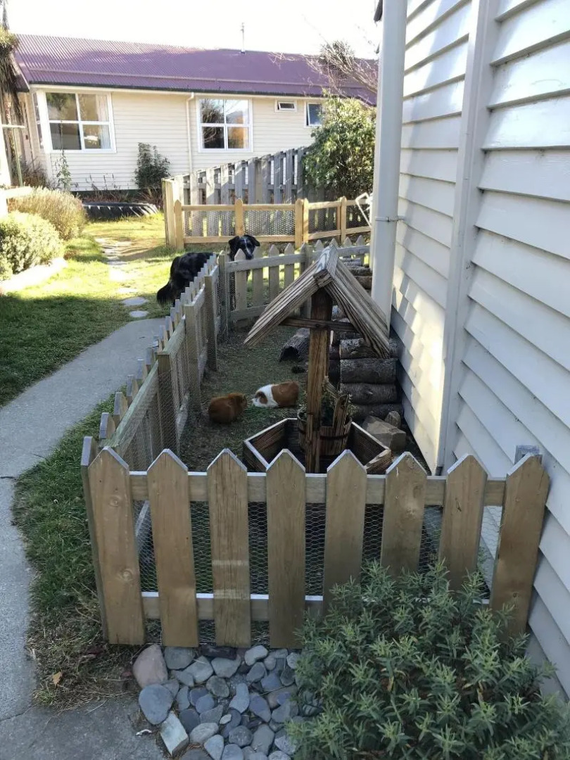 Tailor Made Tekapo - Hostel