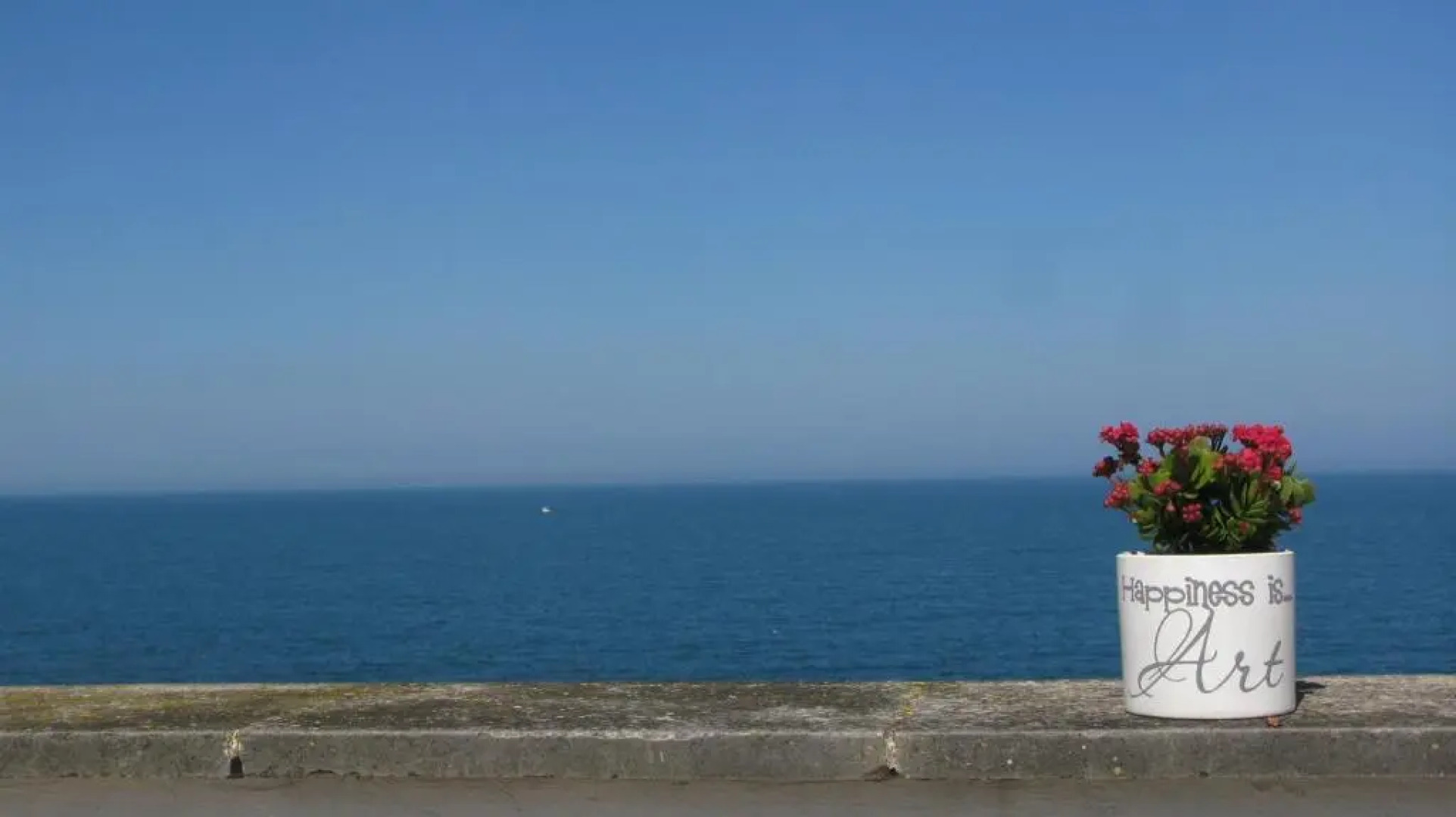 Il Mulino di Amleto - Bed and Breakfast letterario