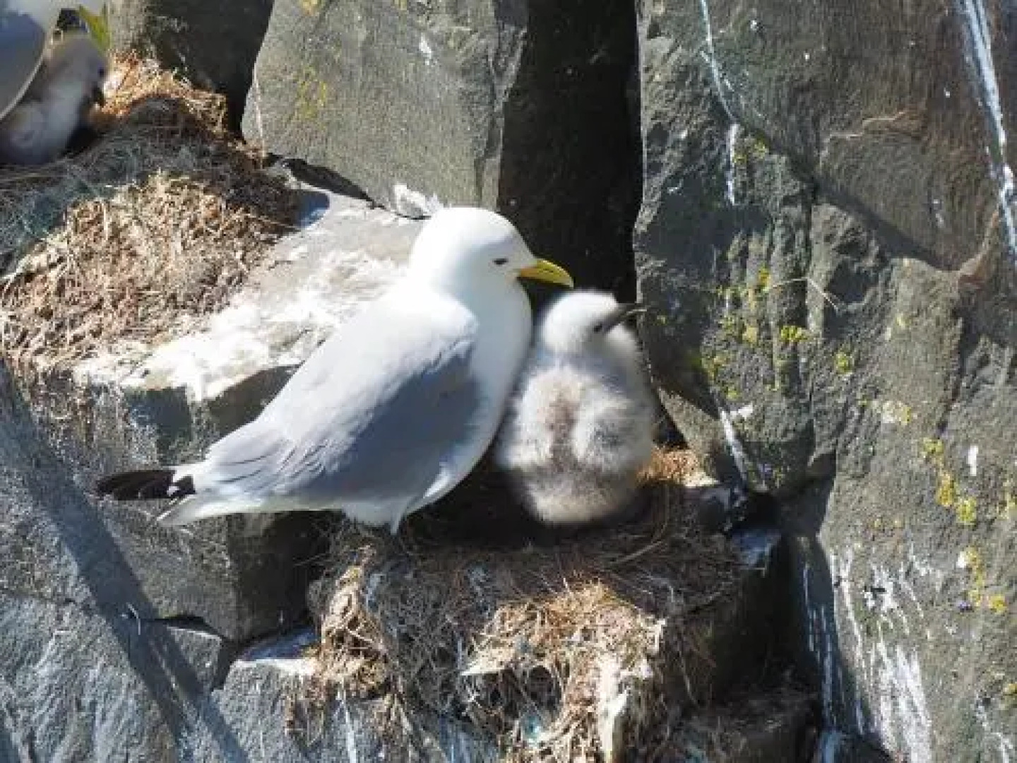 The Convent Guesthouse