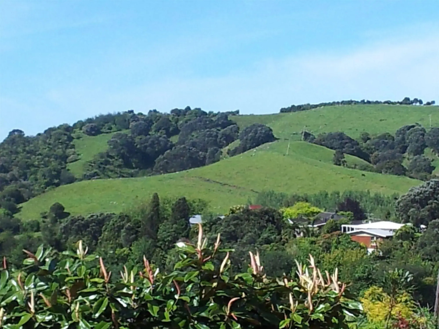 Crestwood Bed and Breakfast