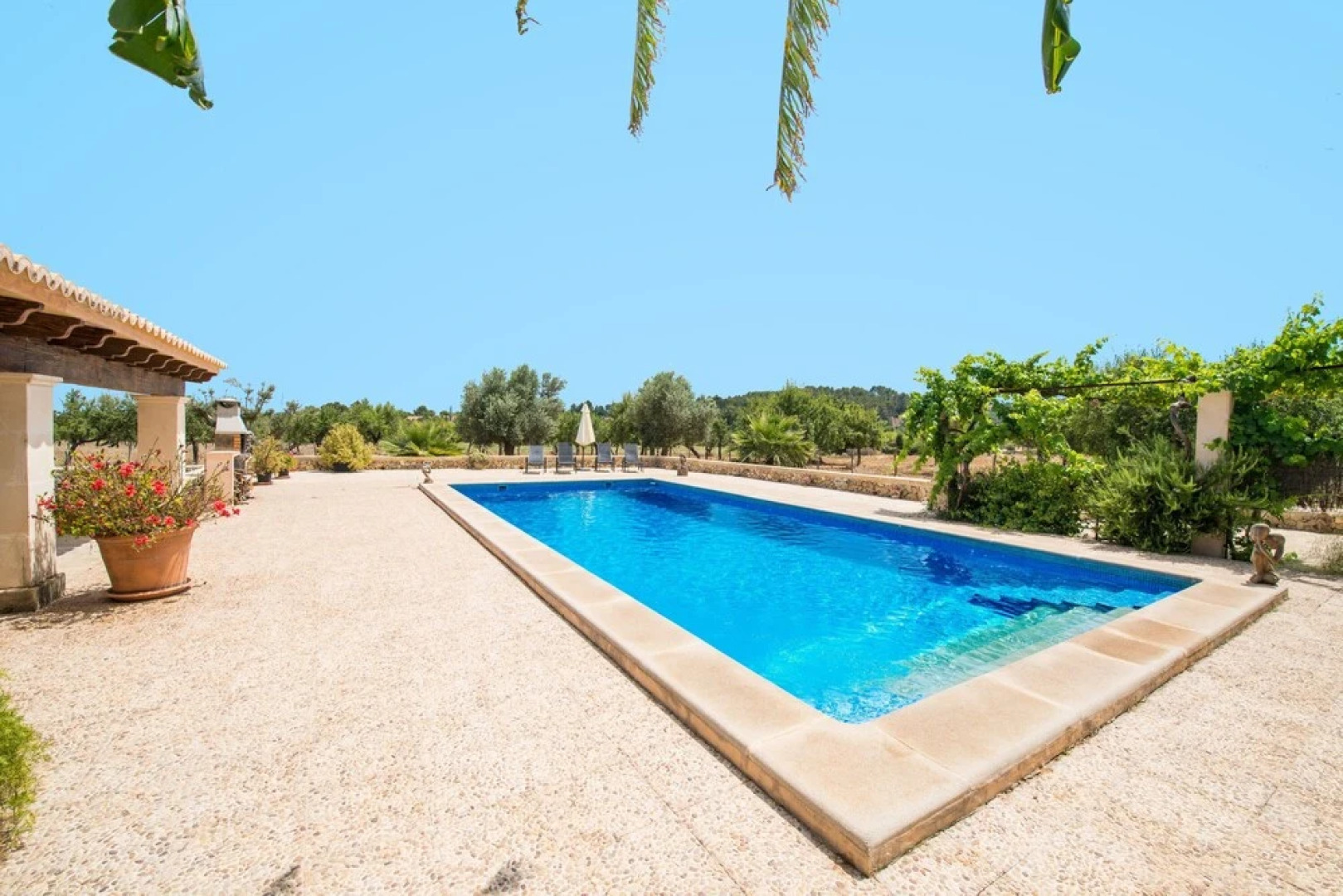 SA Parellada - Premium