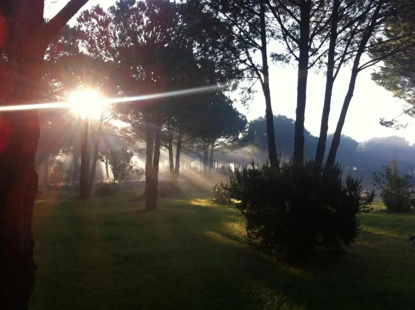Campagne Les Jumeaux