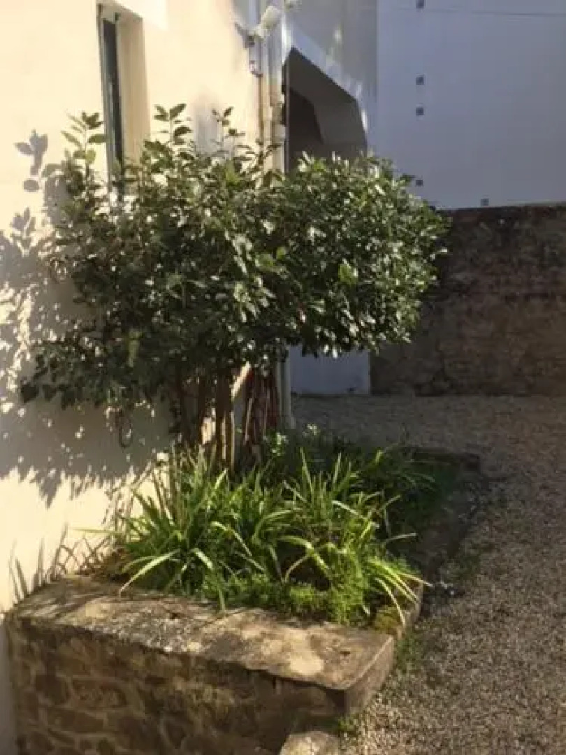 Les Cabanes de Chanteclair