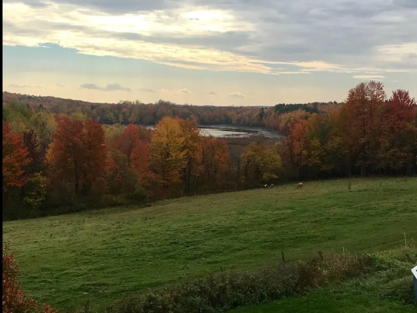 Tentrr â Hollow Tree Camp