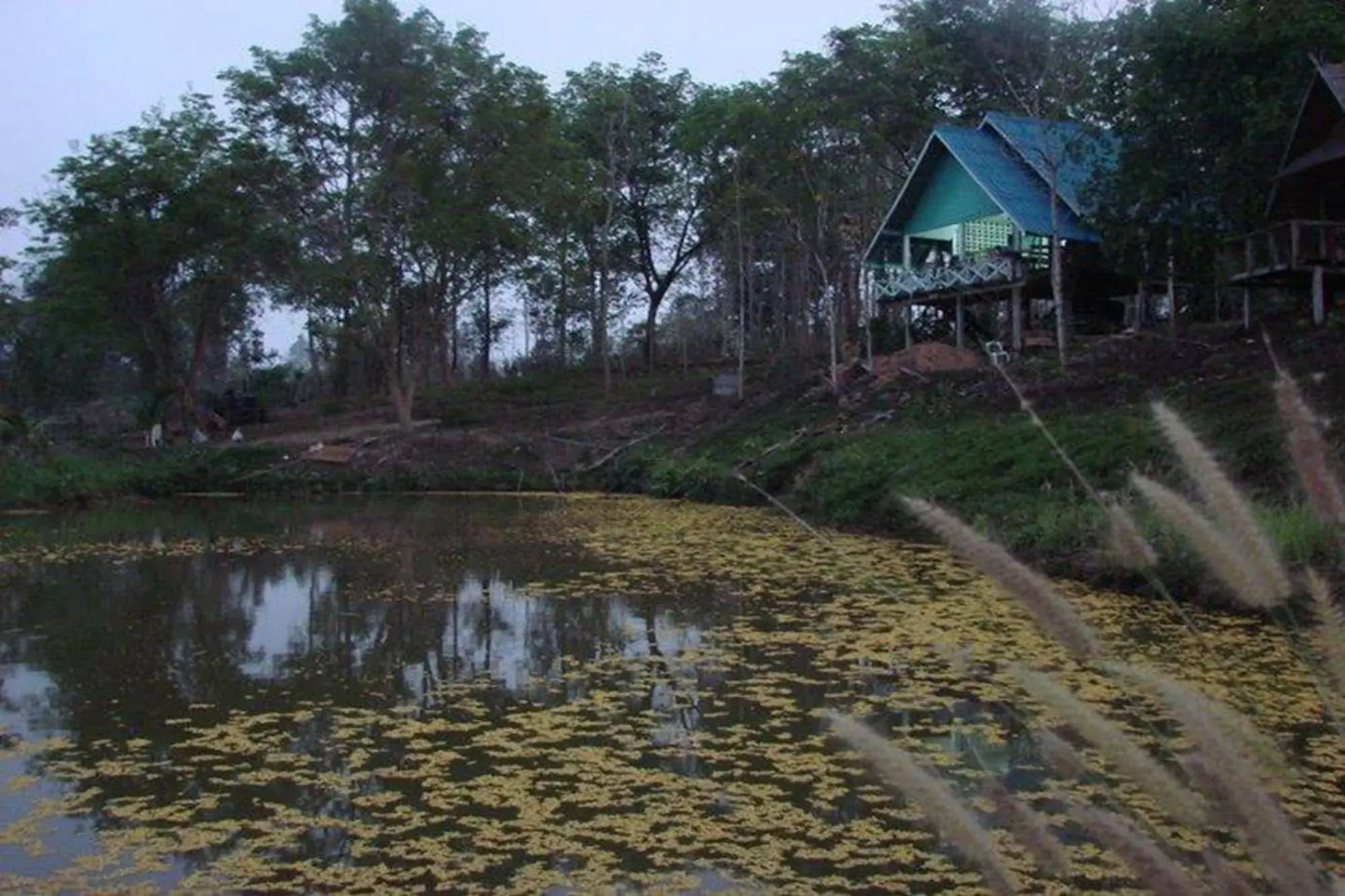 Phuphiangkhiangfah Resort