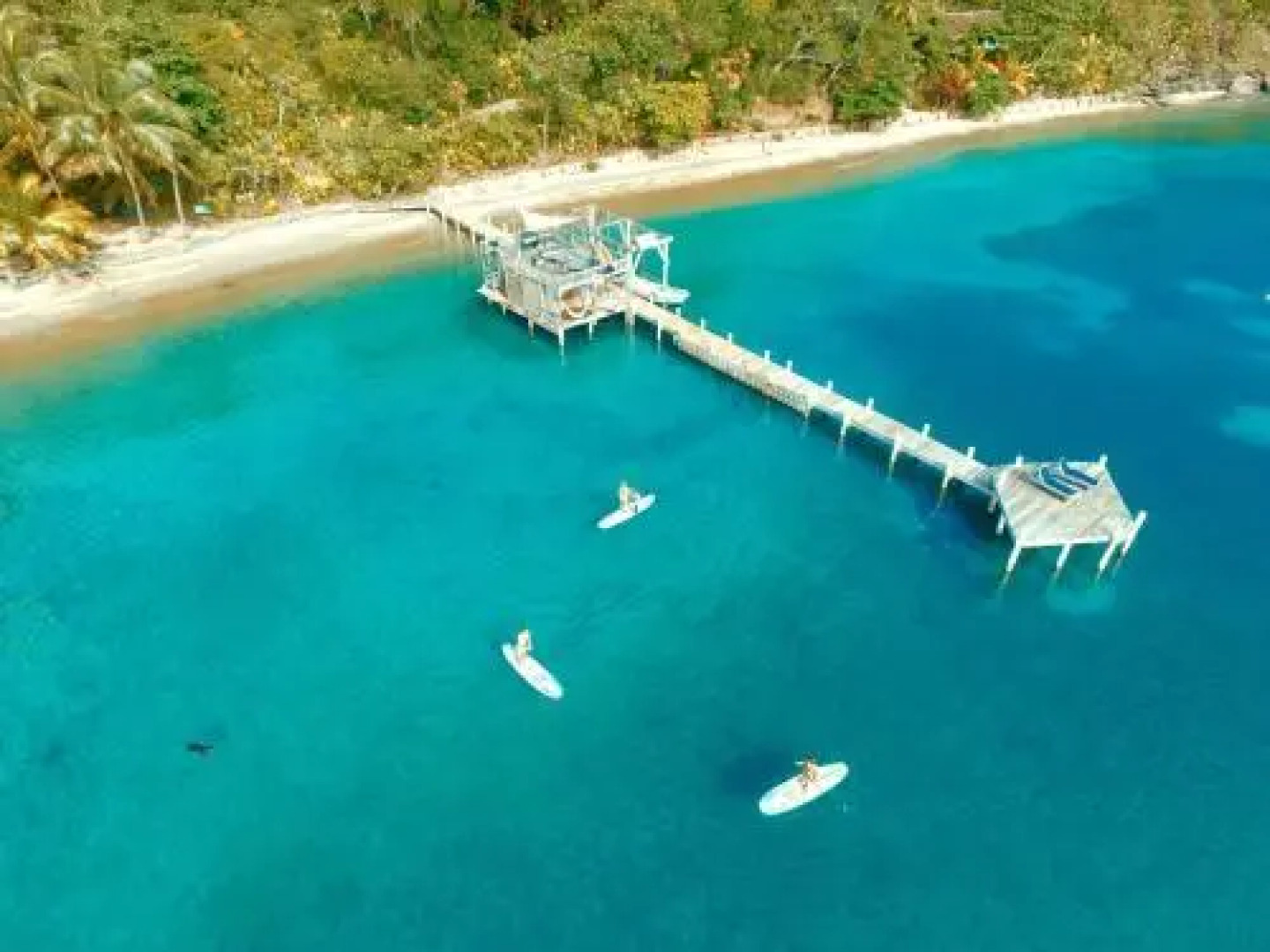 Turtle Bay Eco Resort