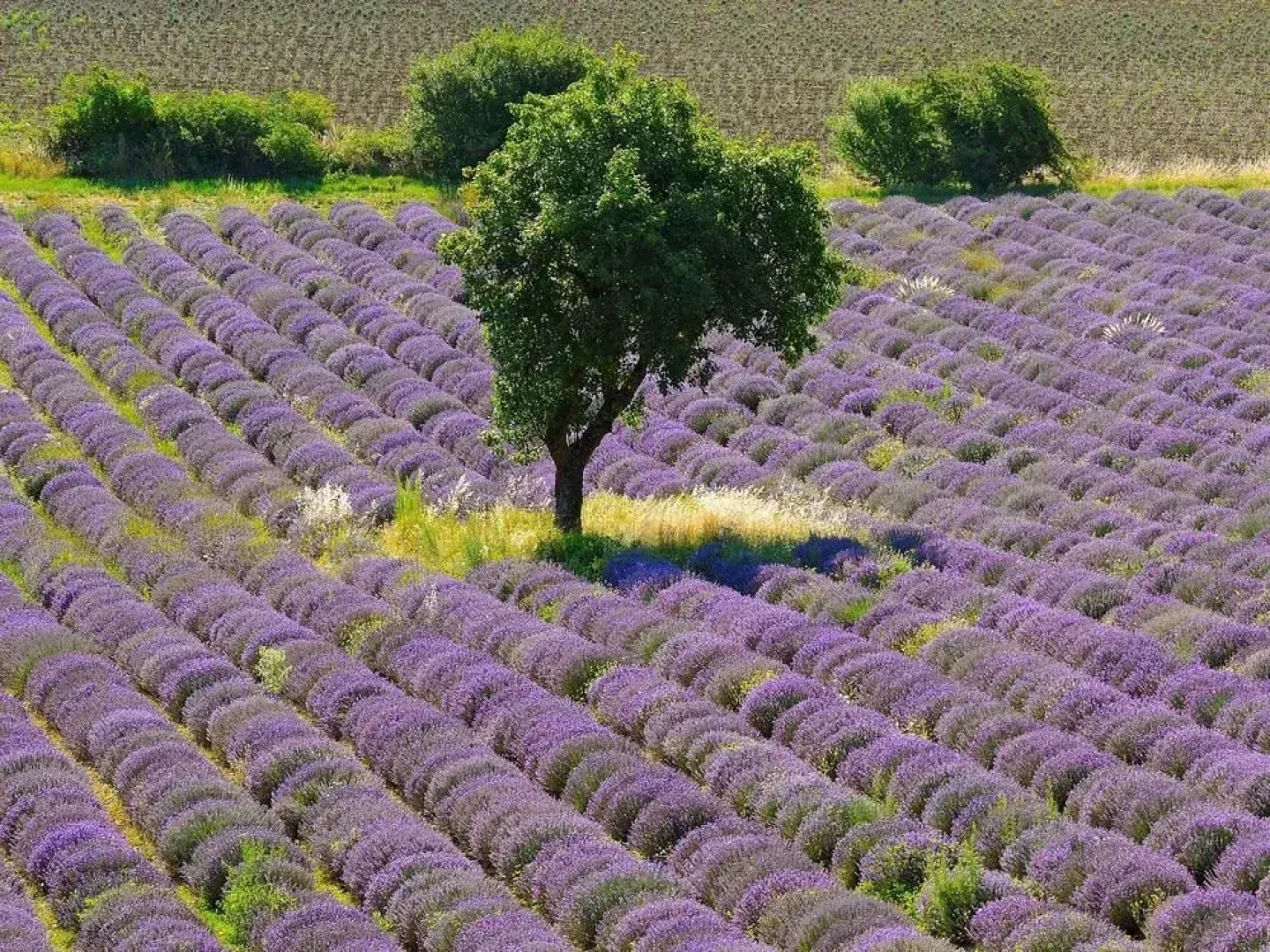 Ibis Orange Centre Échangeur A7 A9