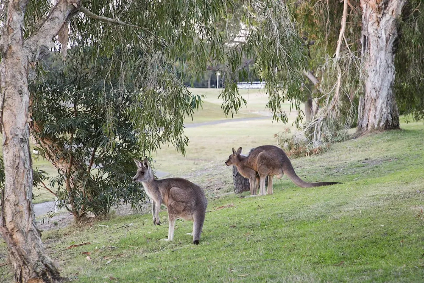The Lotus Retreat at Horizons, Villa 136