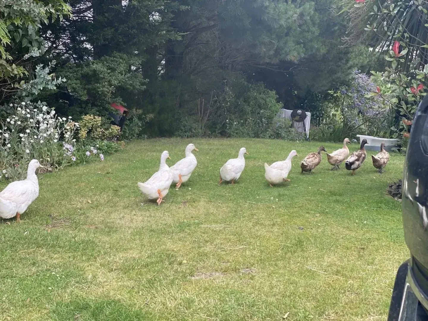 A Serene and Tranquil Escape for two