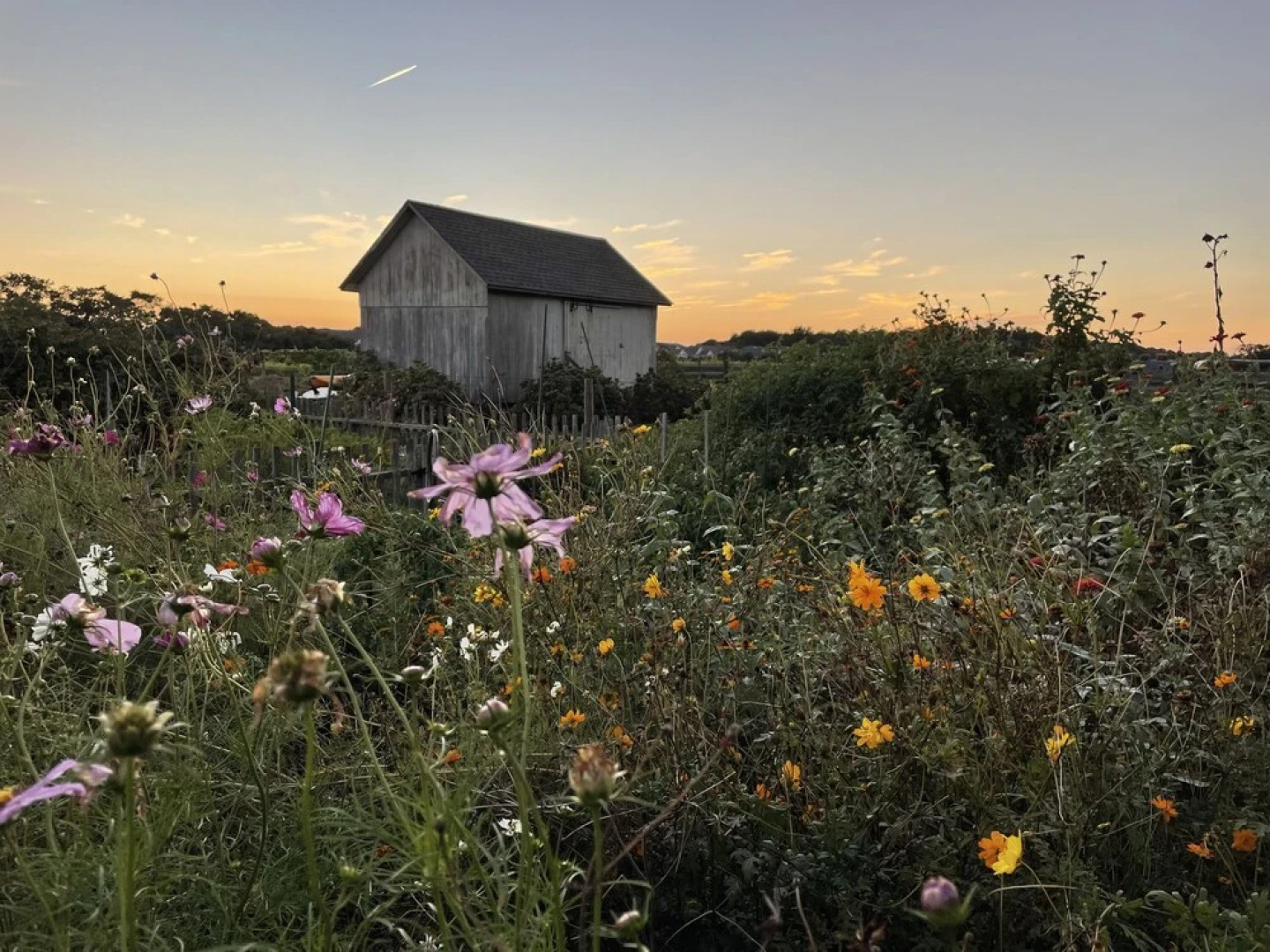The Farmhouse Bed and Breakfast