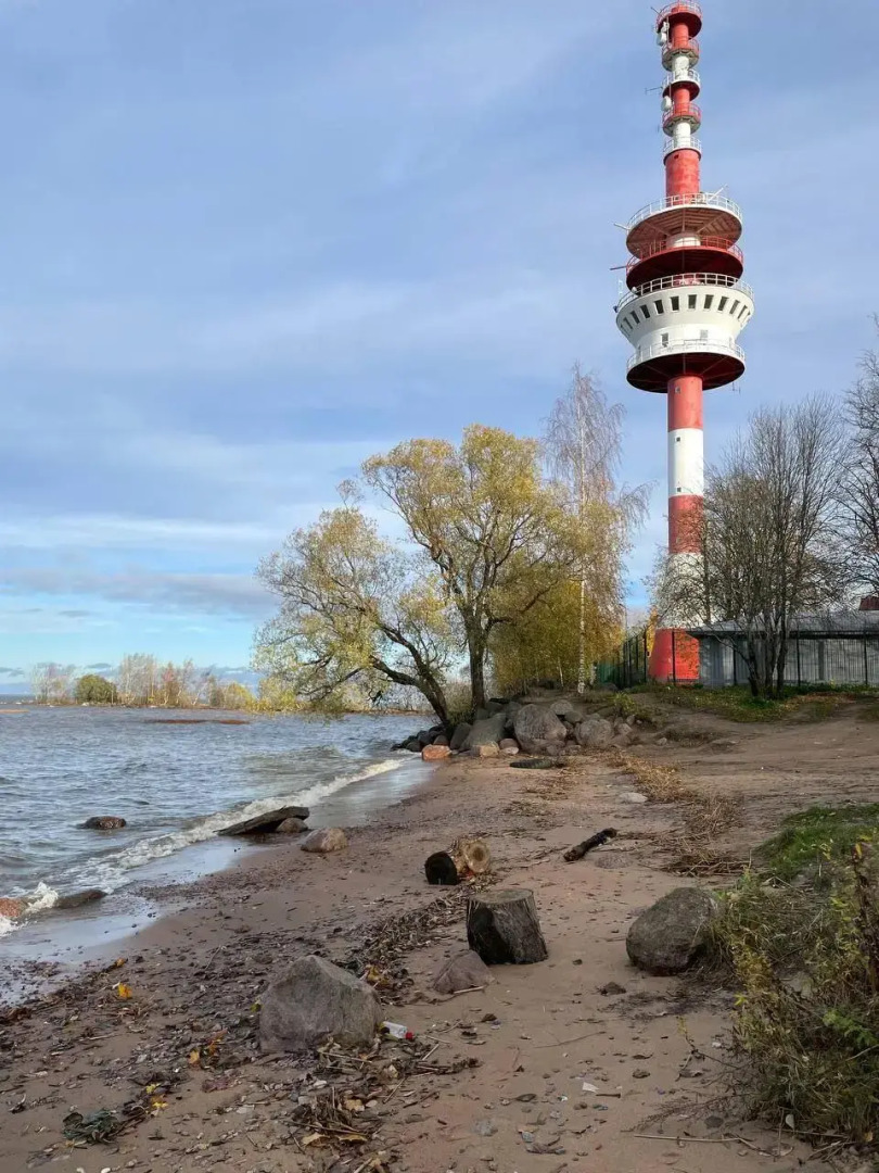 Таунхаус в Петергофе