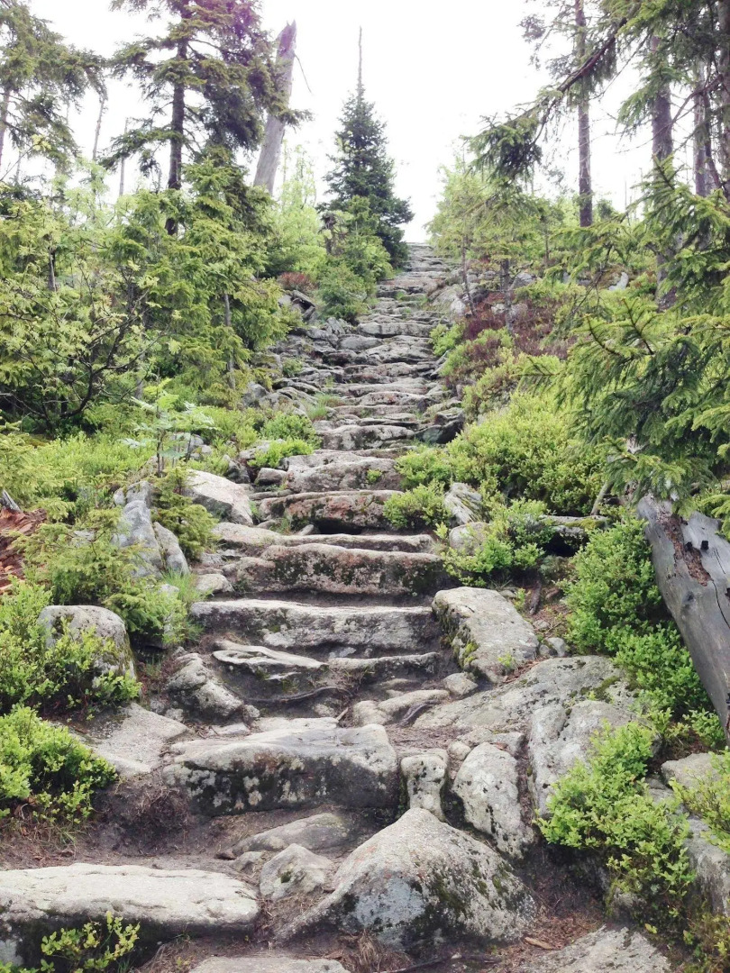 Scottish Highlander Guesthouse