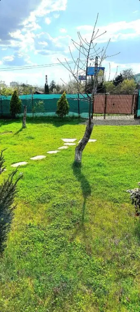 Tiny House in the City