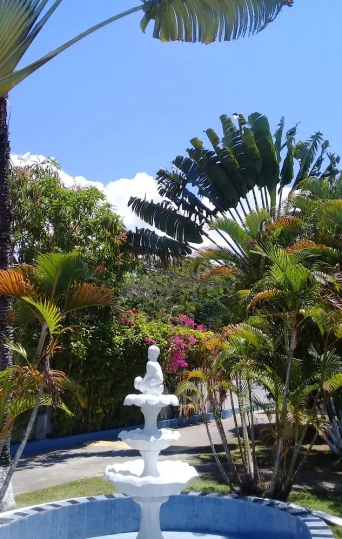 Palm Tree Guest House