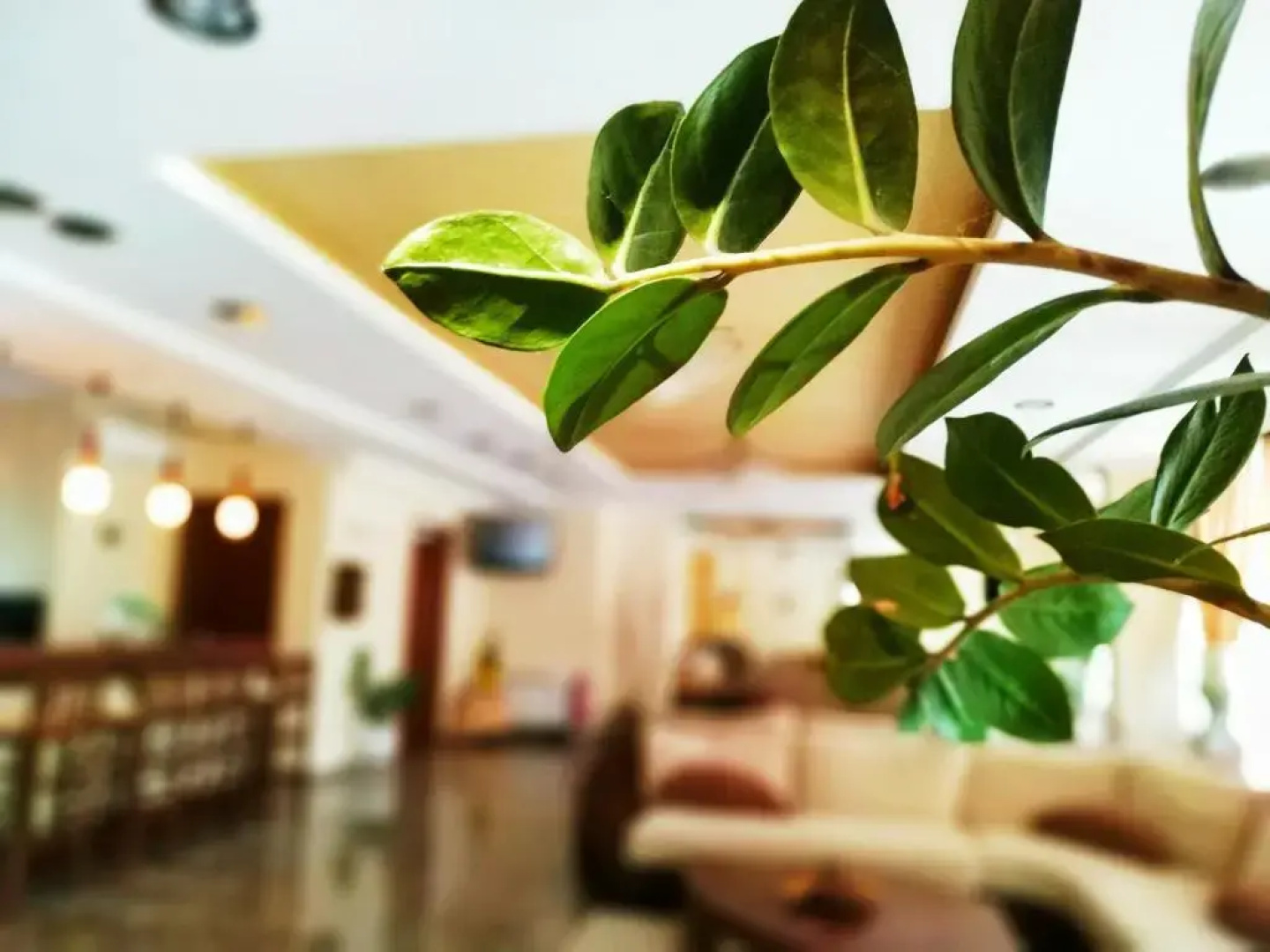 Filoxenia Hotel
