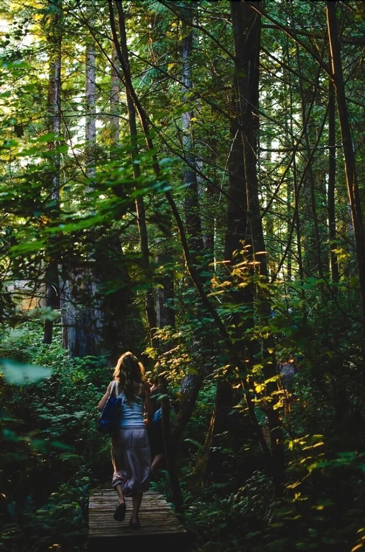 Wilderness Resort & Retreat - Cawley Point