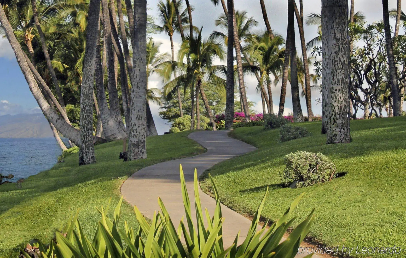 Wailea Elua- CoralTree Residence Collection