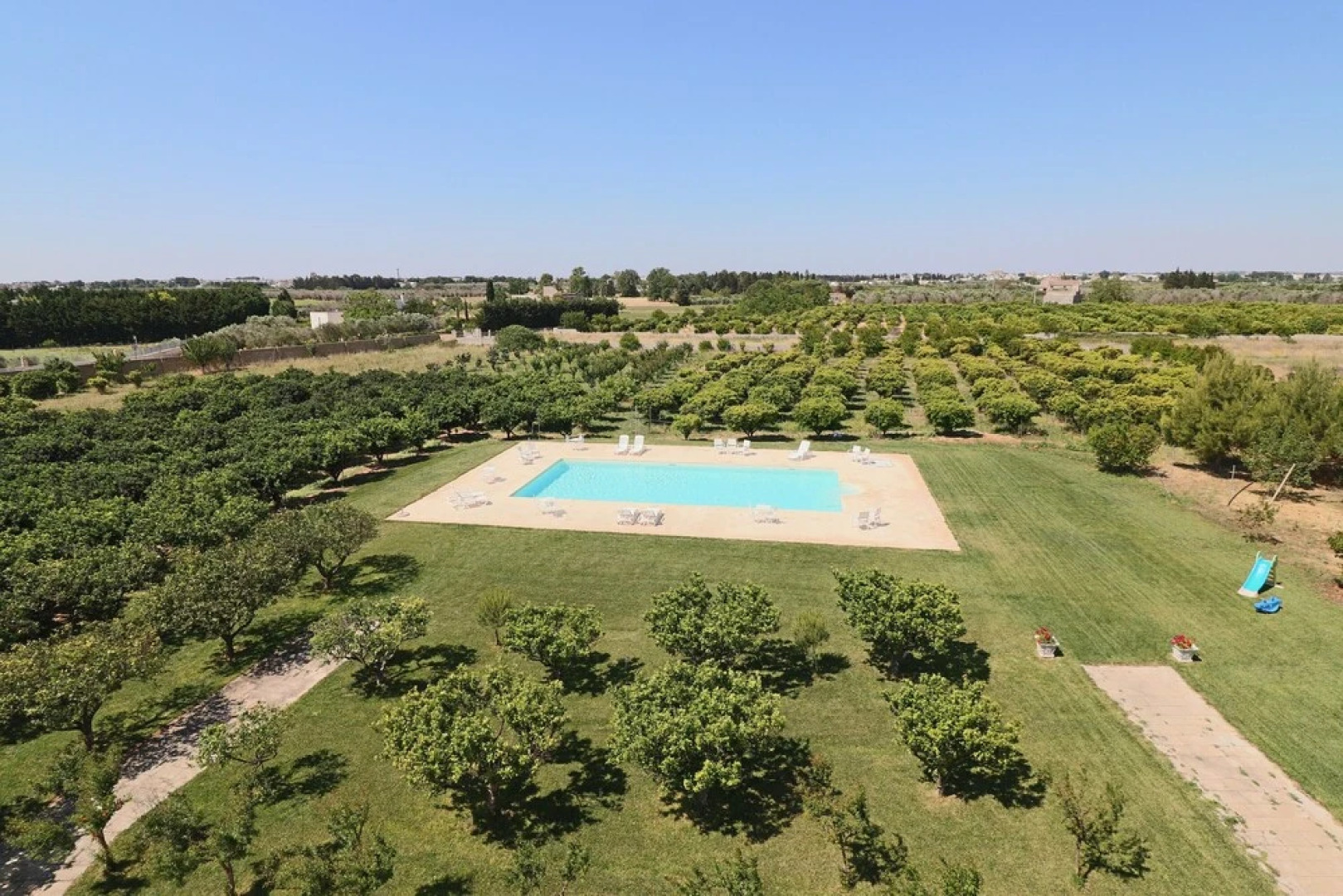 Triple Comfort Pink Grapefruit