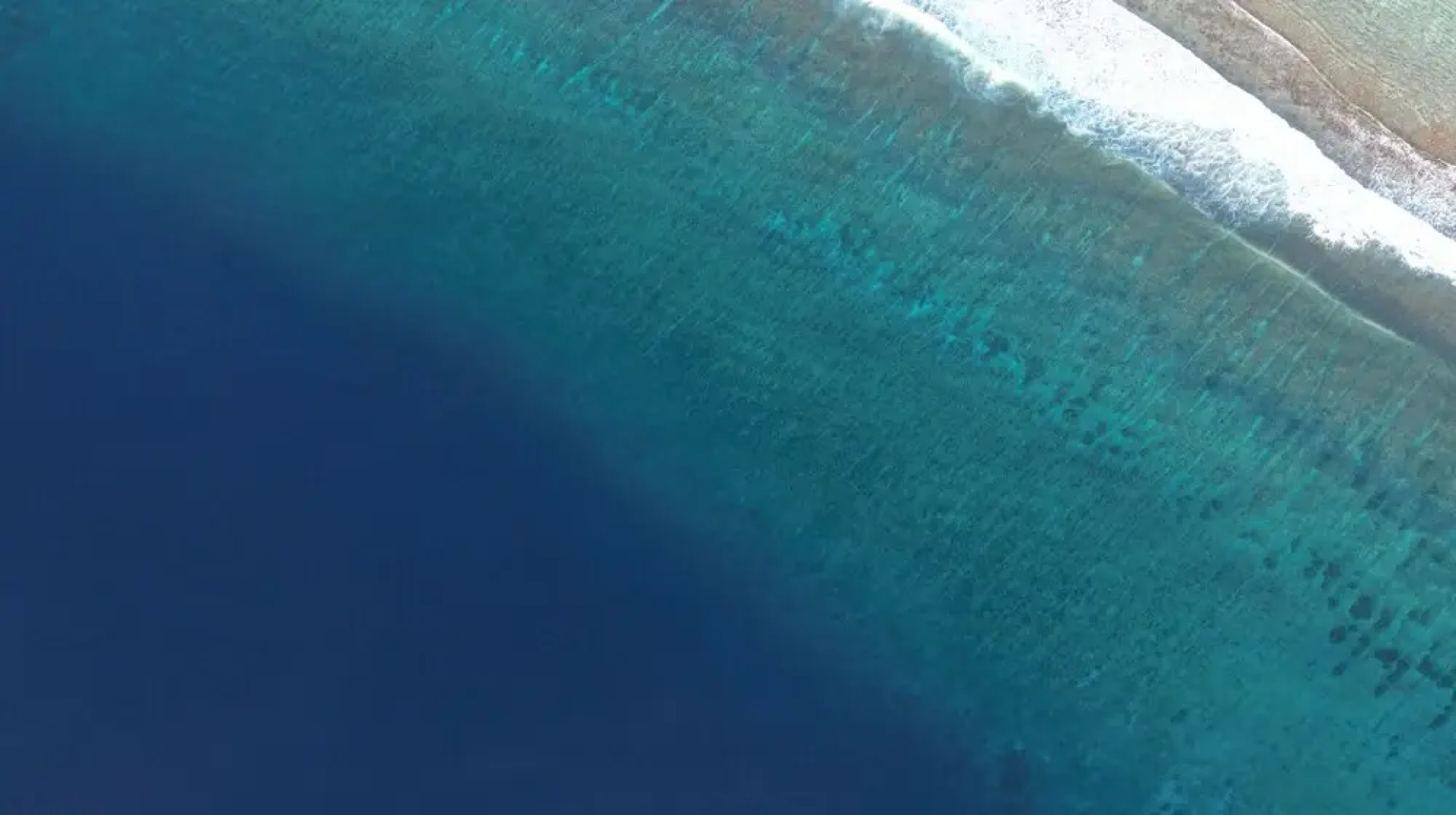 Noah Private Beach House