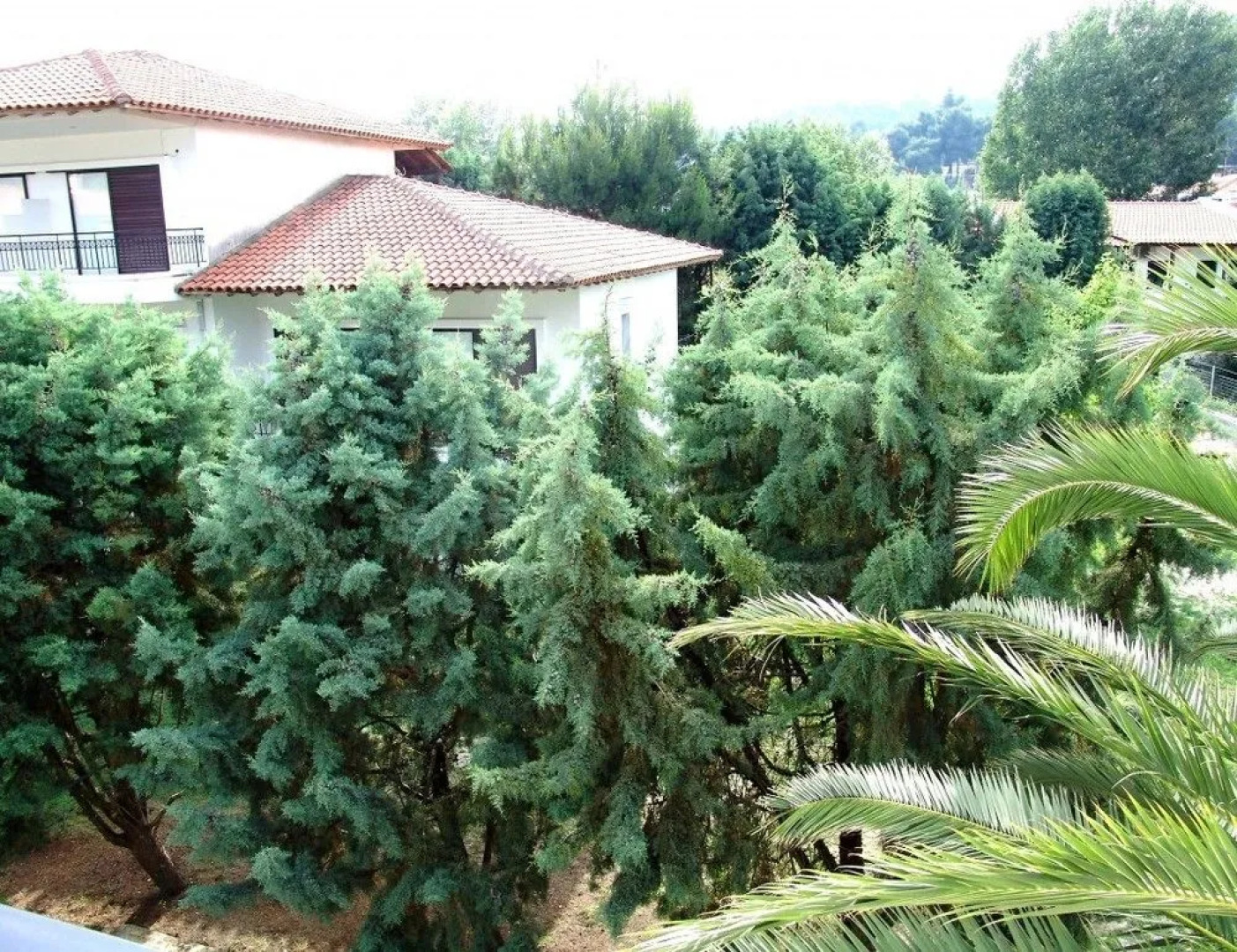 Daliakopoulou Apartments