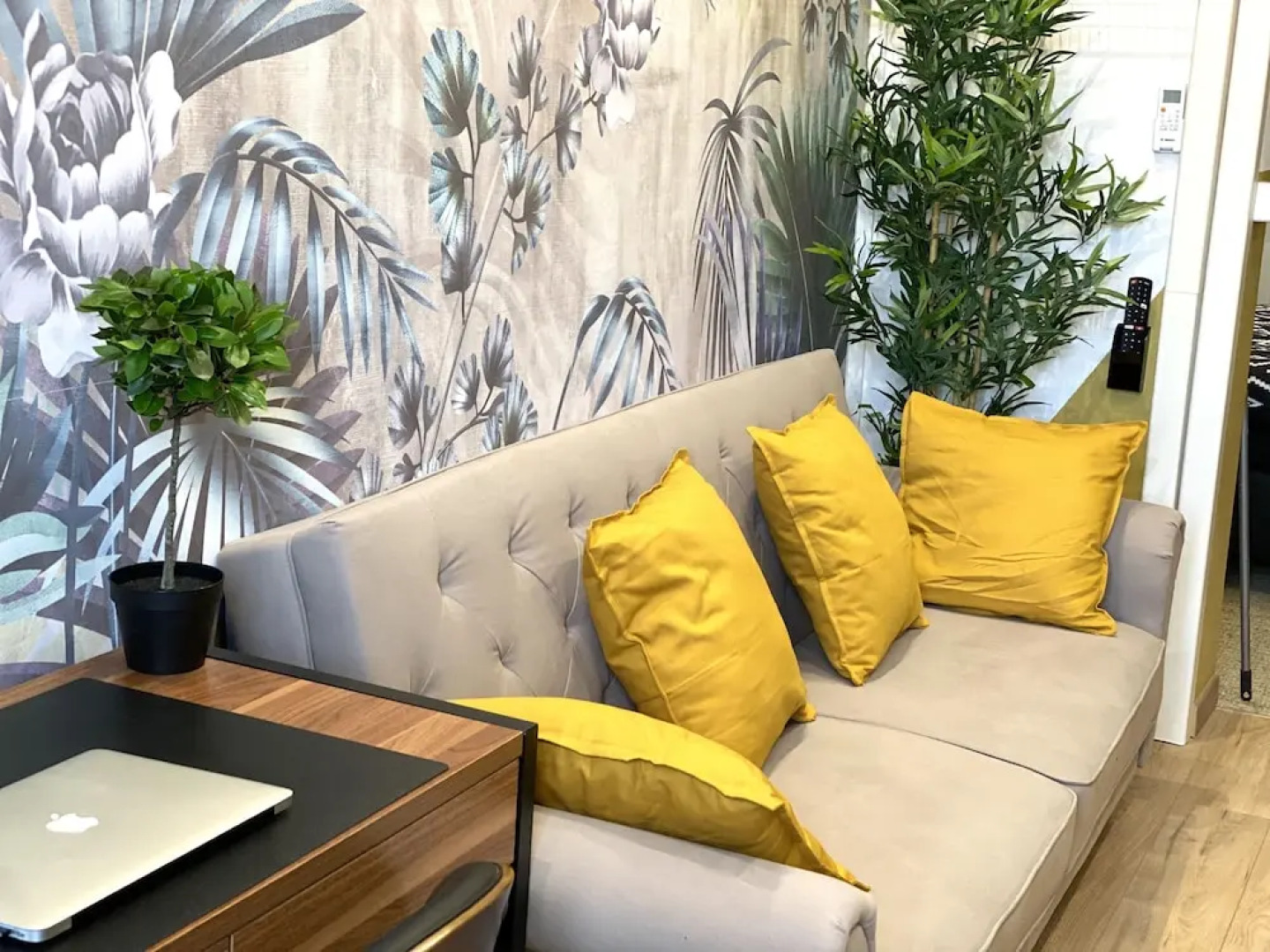 Capsule Premium Valenciennes