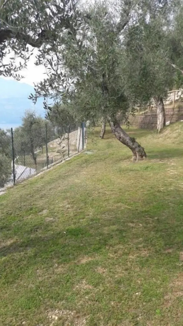 Agricampeggio Agri-camping Relax