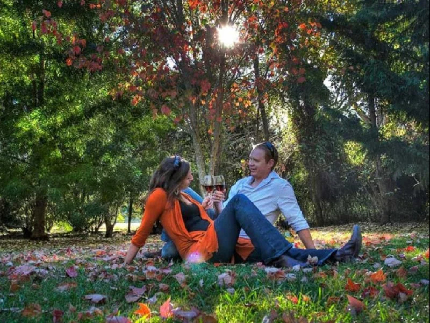 Honeysuckle Cottages Stanthorpe