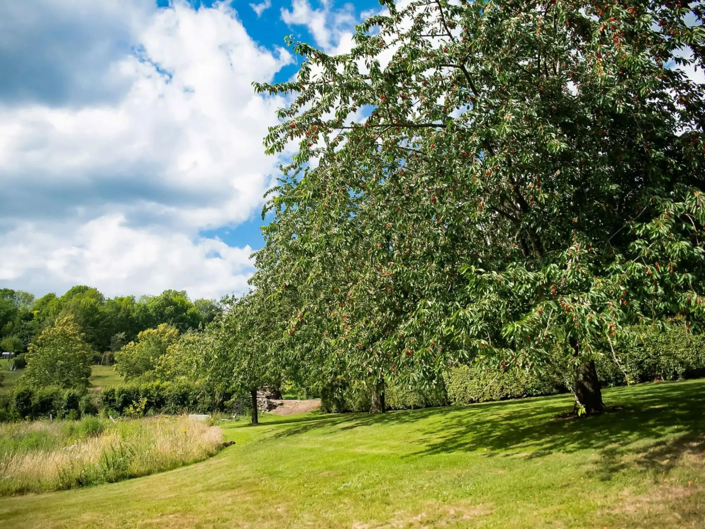 House in Sint Jansrade With Pool