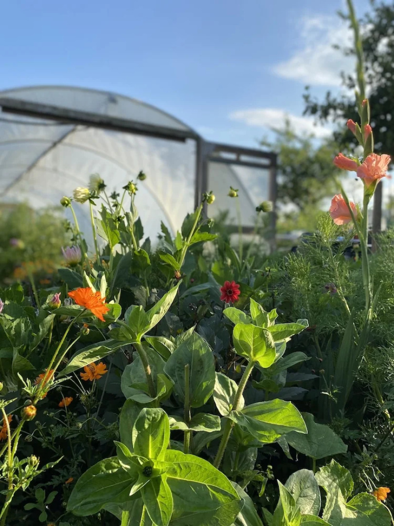 The Talbot at Knightwick