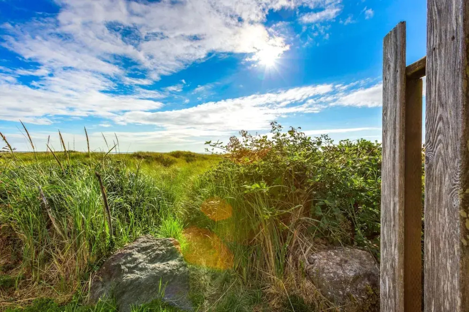 Beach Dream One in Moclips