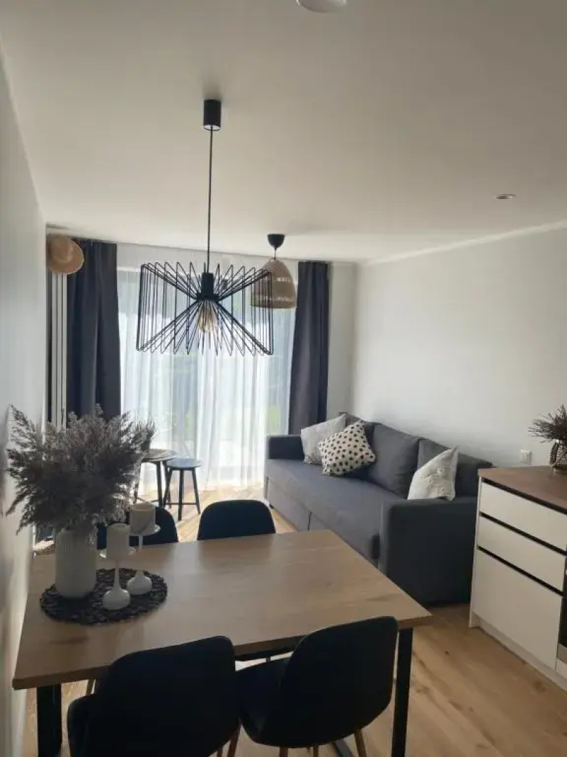 Divas Laivas apartments with a terrace