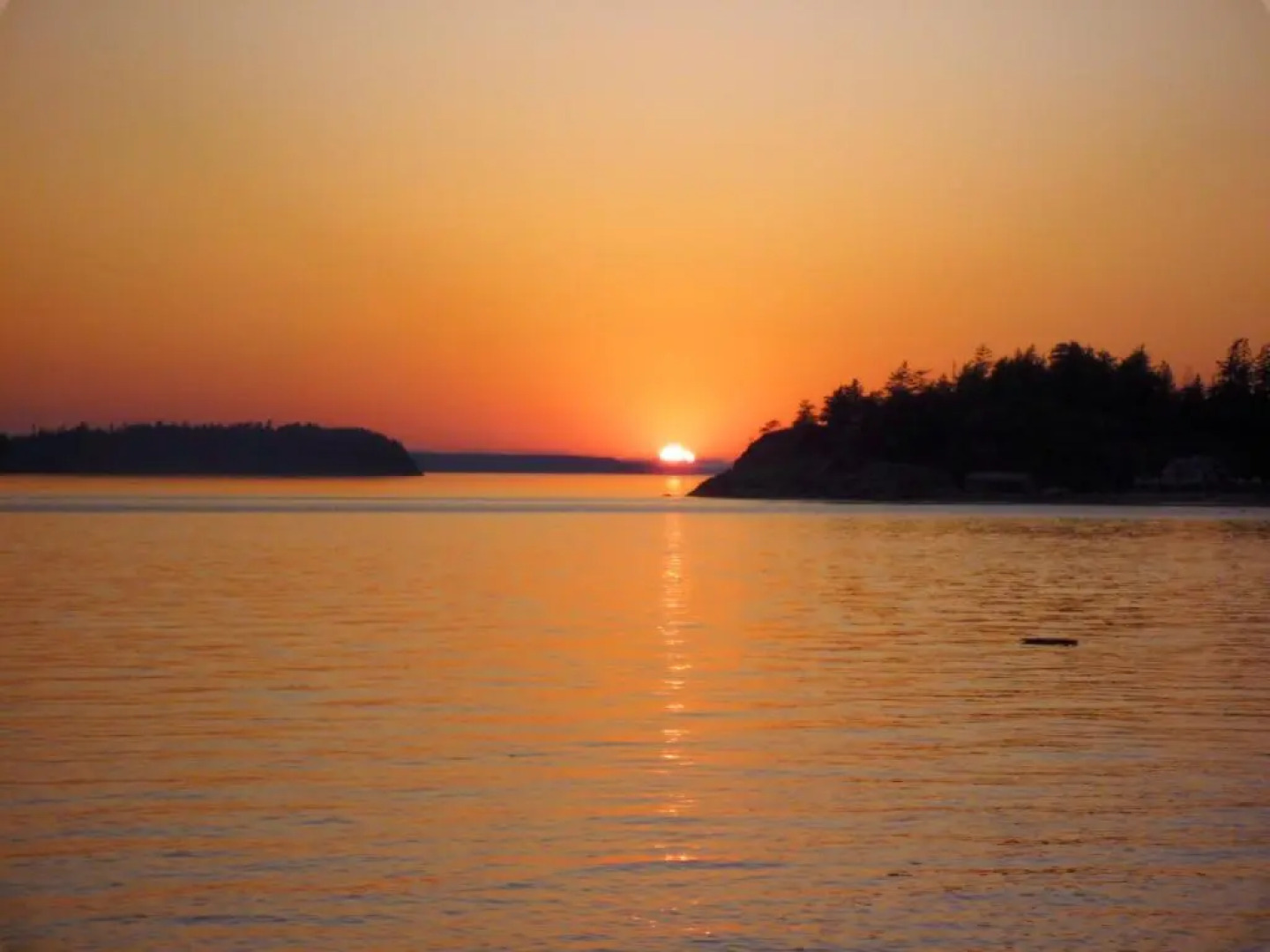 Blitz Beach House Oceanside Suite