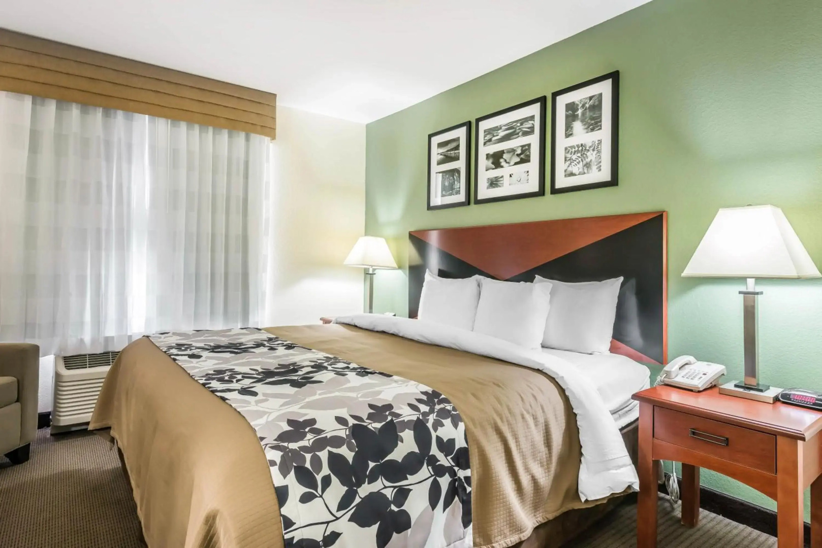 Sleep Inn & Suites University/Shands