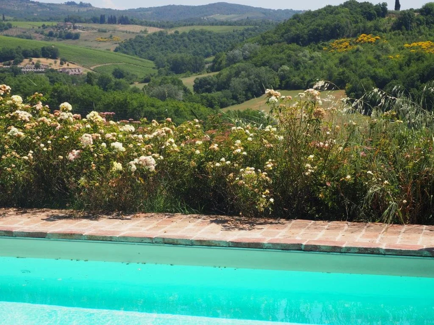 Agriturismo Biologico Antico Uliveto