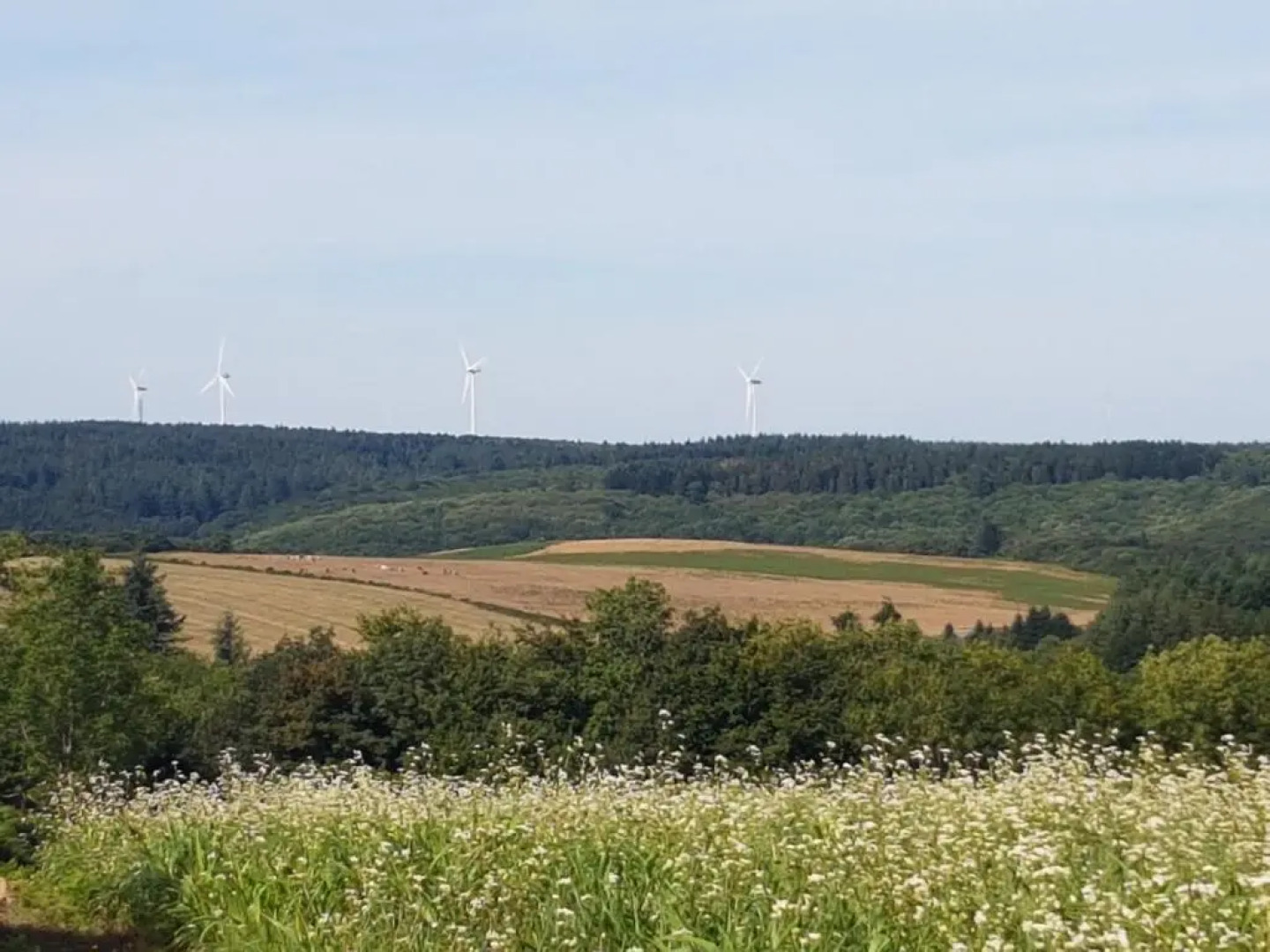 chez Black and White