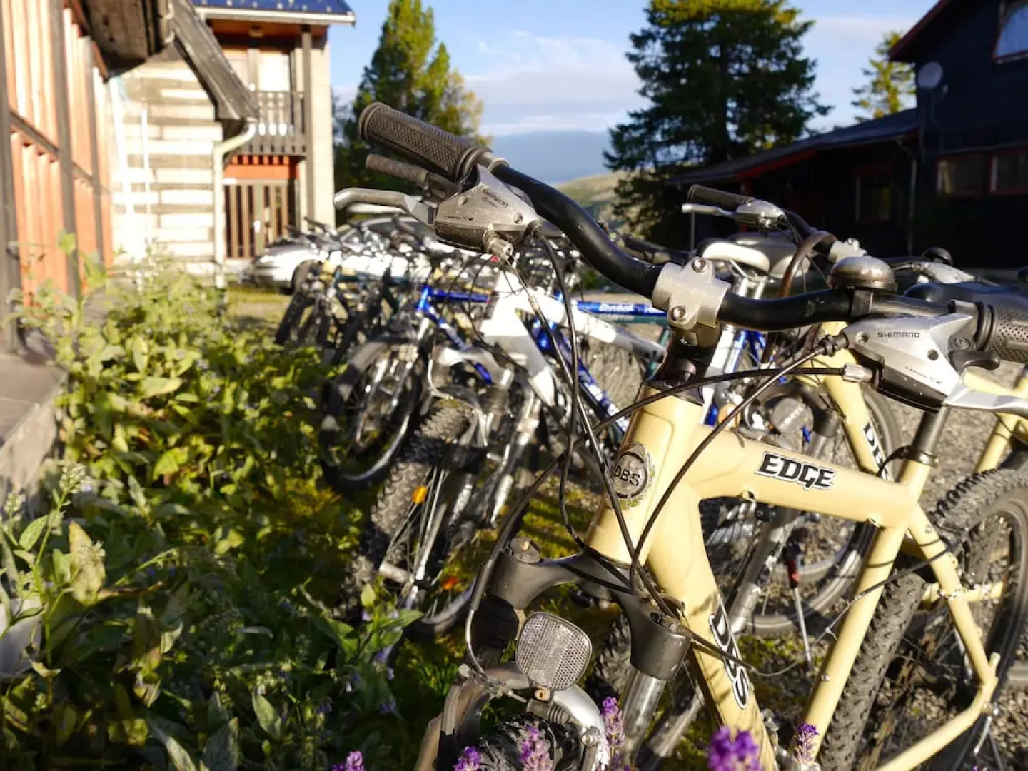 Rondane Hytter og Leiligheter