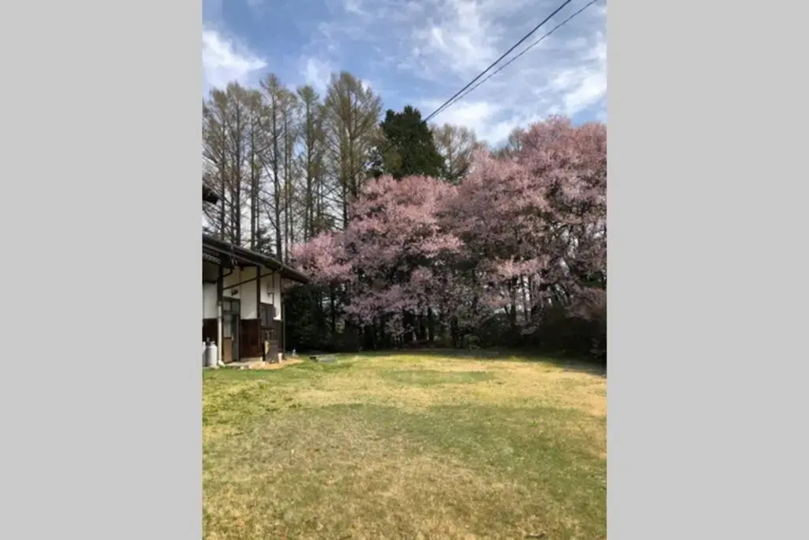 伊那谷別邸でシェアハウス-share old folk house-