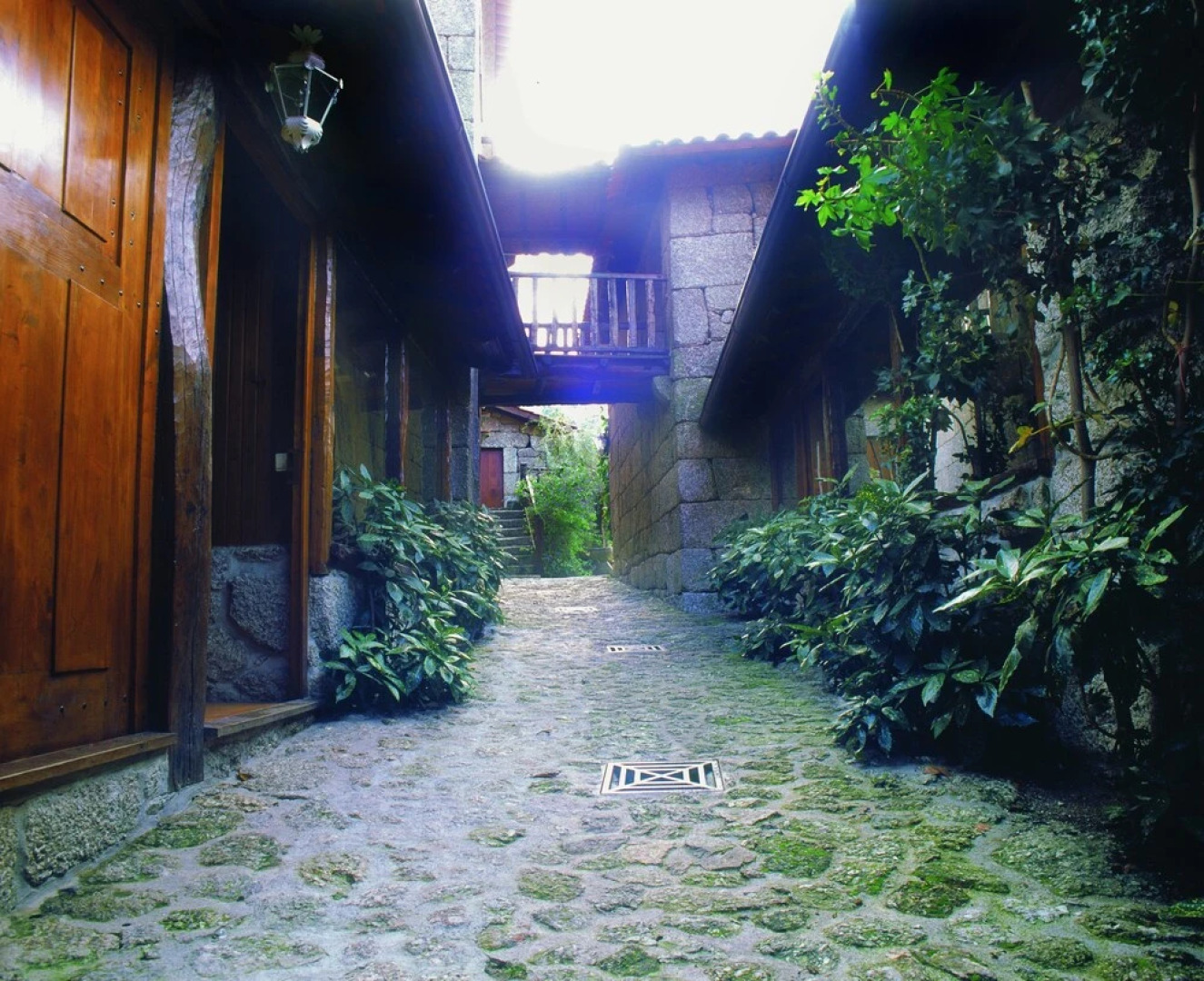 Quinta Brasão Da Caniçada