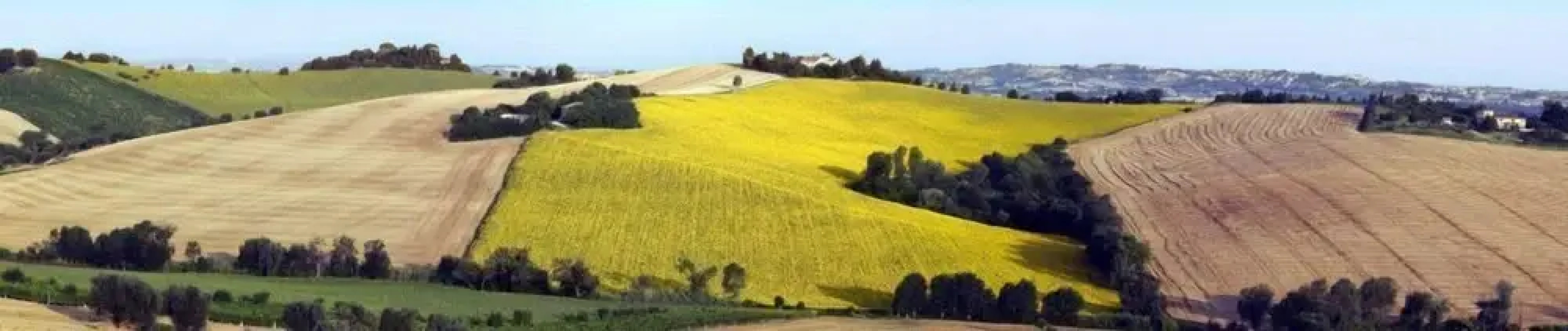 Agriturismo di Charme Ripabianca
