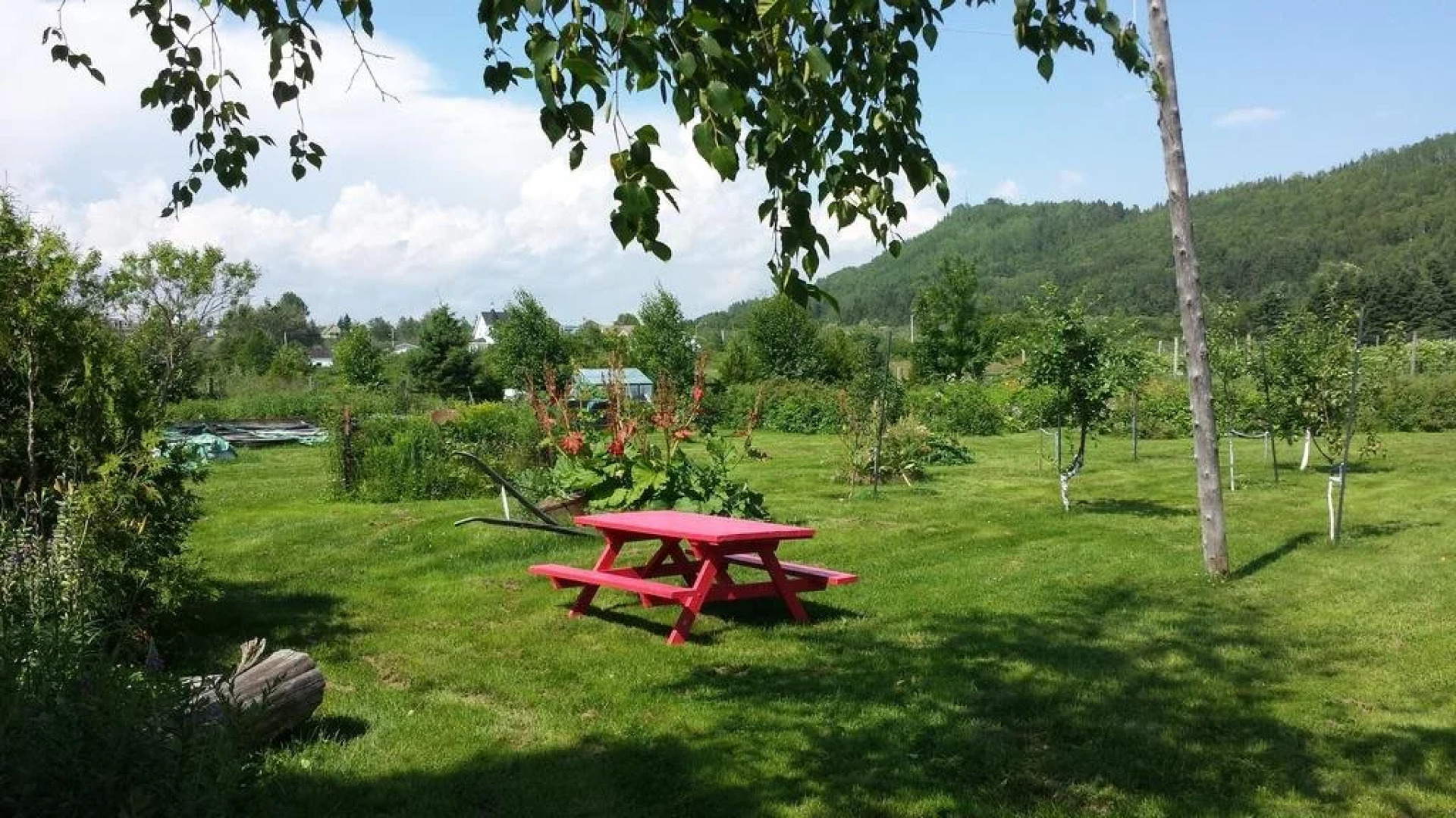 La Conche Saint-Martin