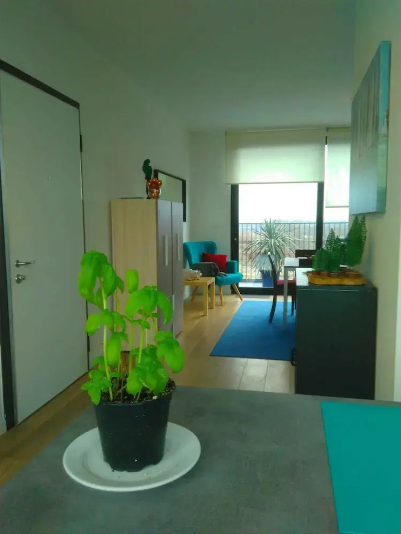 Fully Equipped Sunny Apartment