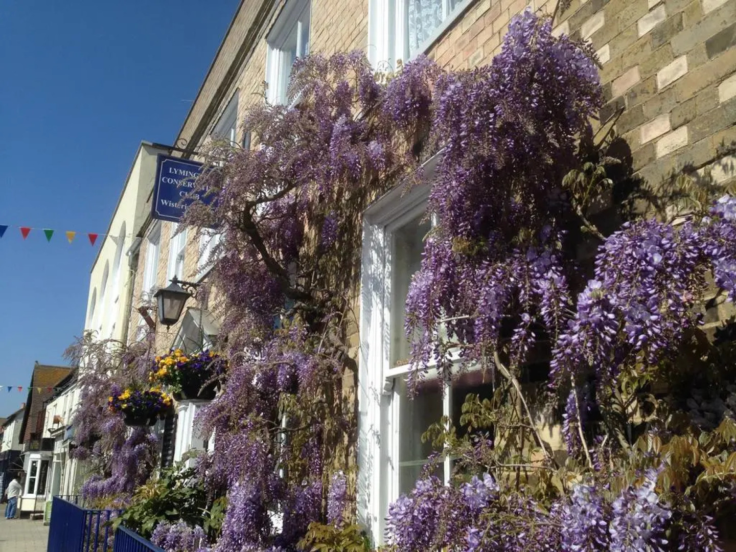 Wisteria House