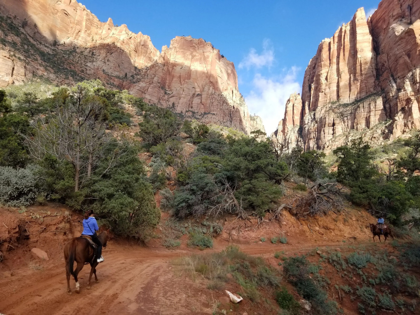 Zion's Most Wanted Hotel