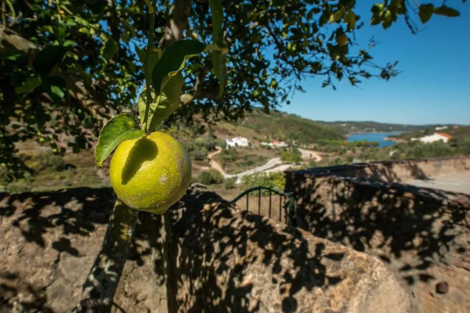 Quinta da Eira Velha