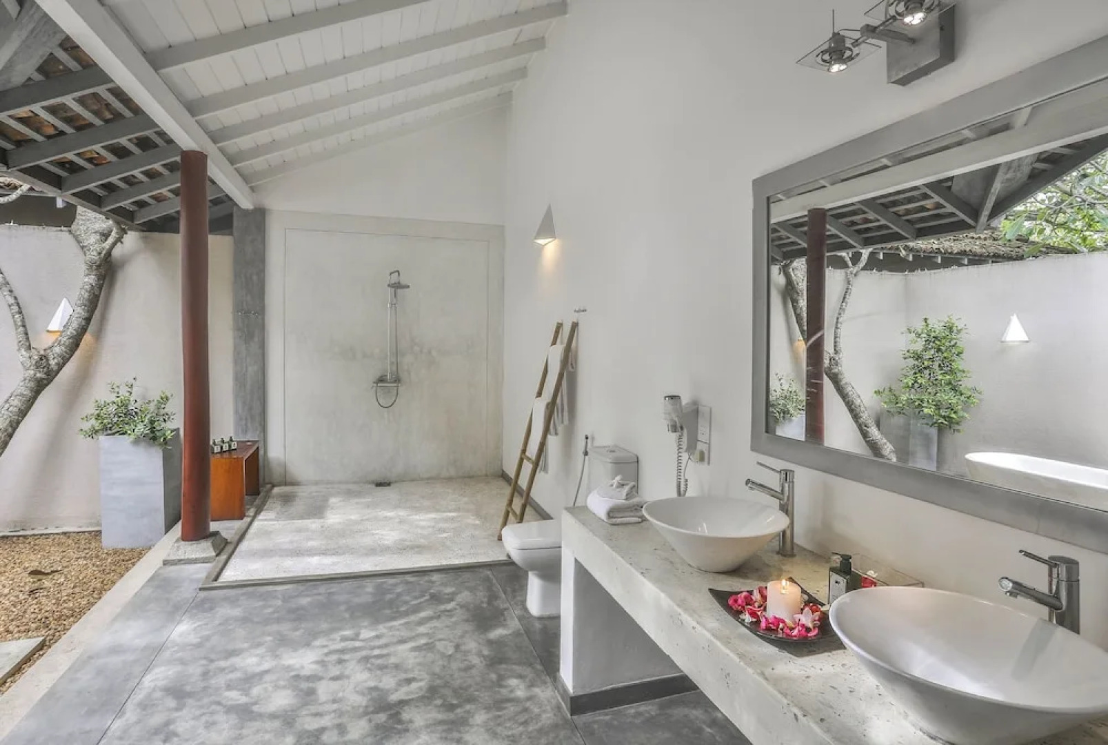 The Frangipani Tree by Edwards Collection