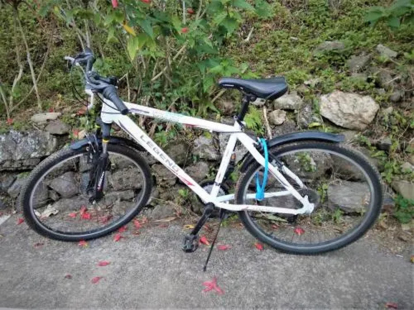 Fare Arana Moorea Guesthouse