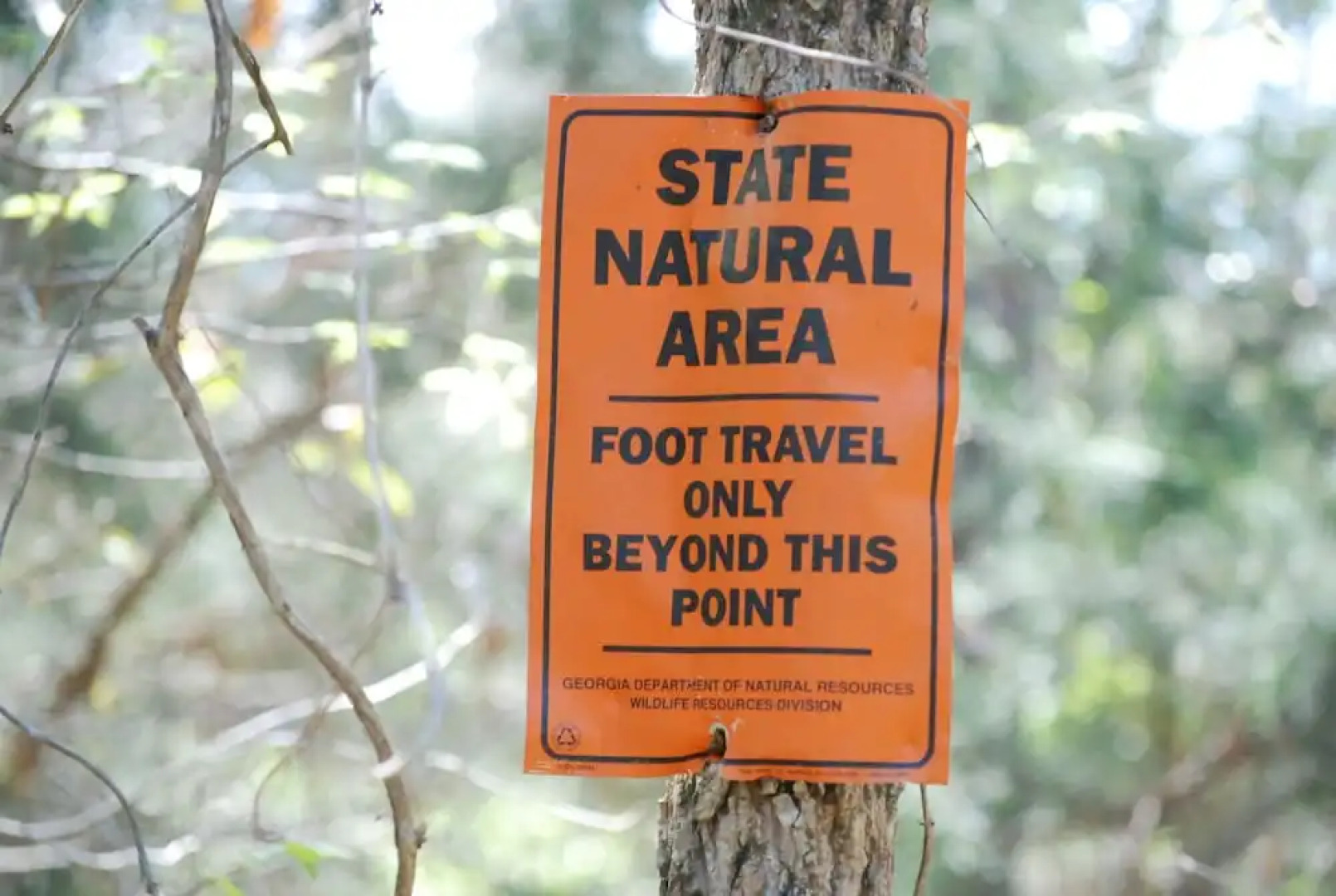 The Colonels B&B and Inn