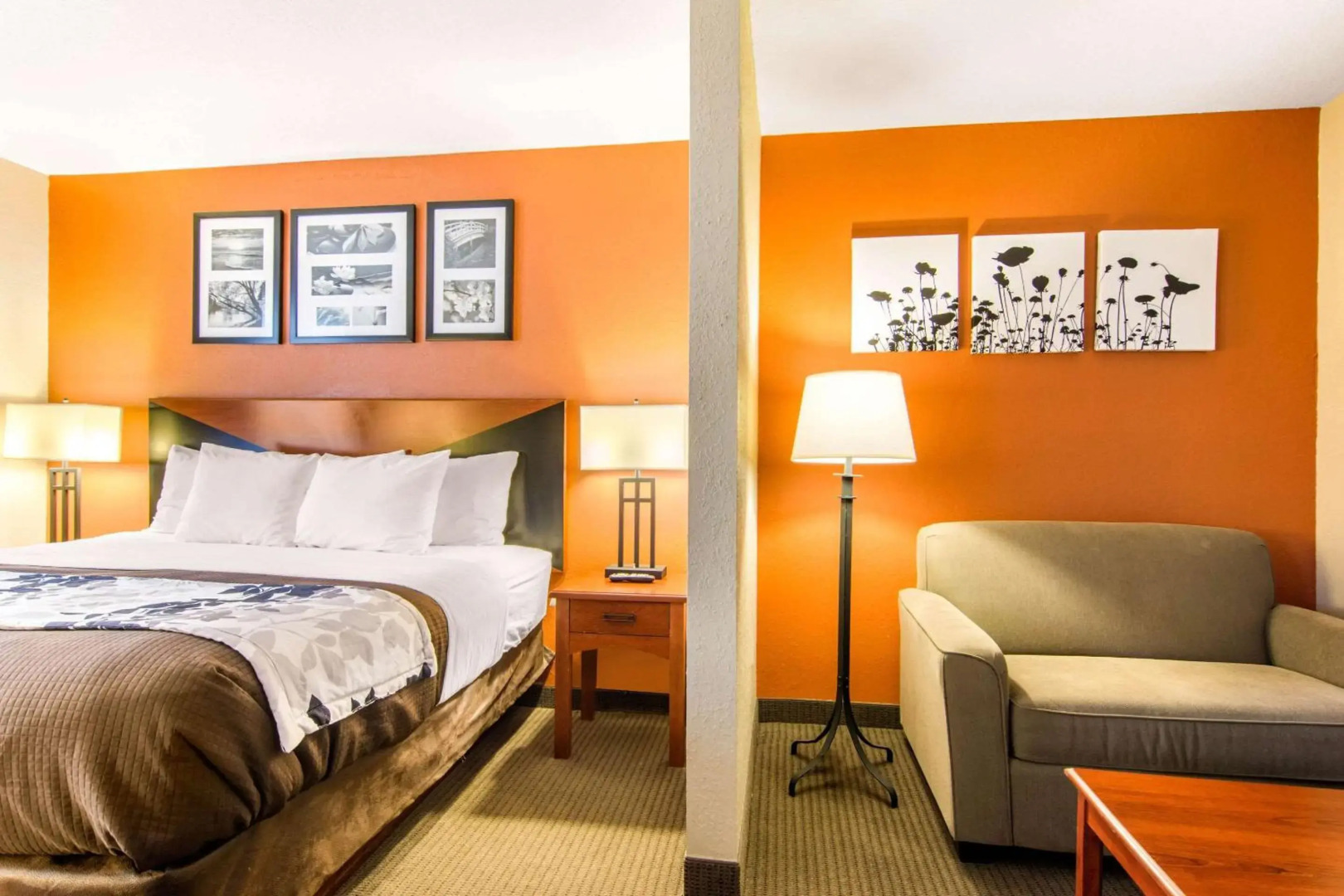 Sleep Inn & Suites Athens South